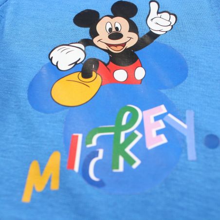 Ensemble Mickey